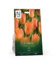 Syyssipuli Keisarintulppaani, 'Orange Emperor'7,50 - Siemenet ja sipulit - 7312603021270 - 1