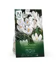 Syyssipuli Kevätsahrami, 'Jeanne d'Arc' - Siemenet ja sipulit - 7312603021010 - 1
