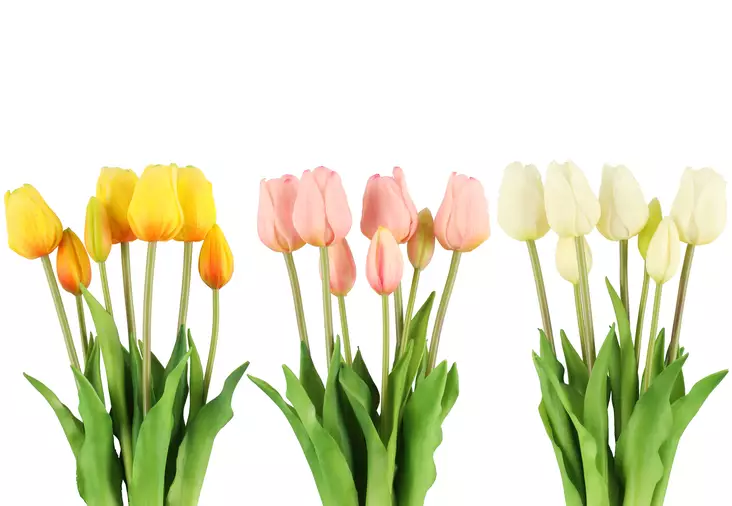 4Living Tulppaani kimppu 46 cm pinkki - Tekokukat ja -kasvit - 6410413281820 - 1