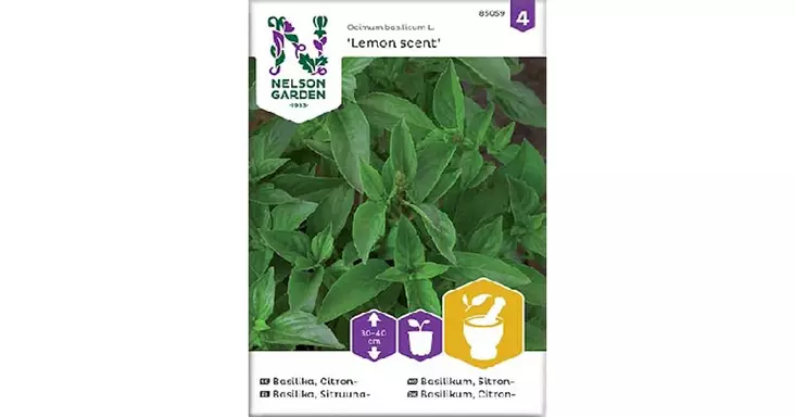 Basilika, Sitruuna-, Lemon scent - Yrttien siemenet - 7312600850590 - 1