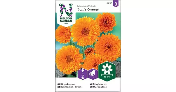 Kehäkukka, Tarha-, Balls Orange - Kukkien siemenet - 7312600881570 - 1