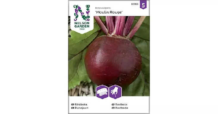 Punajuuri, Moulin Rouge, kylvönauha - Vihannesten ja hedelmien siemenet - 7312600859500 - 1