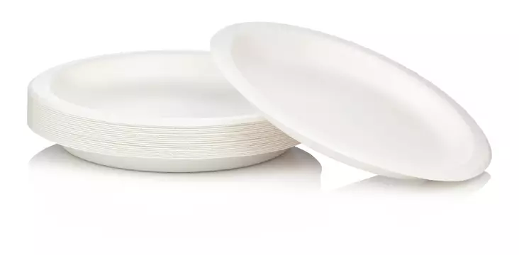 Rosa vahva 26 cm kartonkilautanen 20 kpl, Biohajoava lakkapinta, valkoinen - Kertakäyttöastiat ja -välineet - 6418055492260 - 1