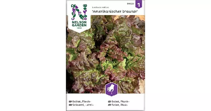 Salaatti, Lehti-, Amerikkalainen - Vihannesten ja hedelmien siemenet - 7312600860230 - 1