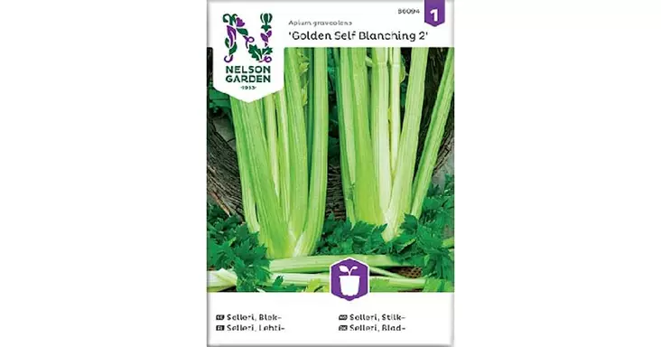 Selleri, Lehti-, Golden Self Blanching 2 - Vihannesten ja hedelmien siemenet - 7312600860940 - 1