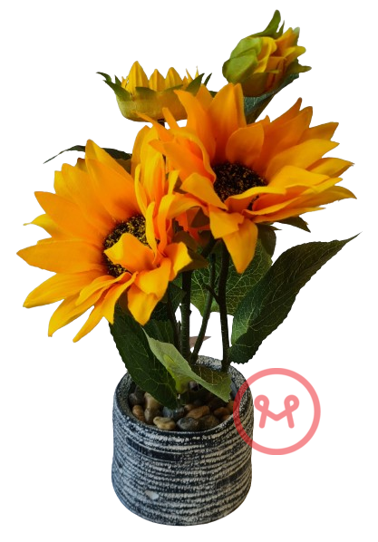 TEKOKUKKA AURINGONKUKKA RUUKUSSA - Tekokukat ja -kasvit - 6438159384490 - 1