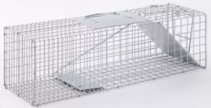 Pieneläinloukku 18 x 18 x 61 cm - Metsästys - 6438168112480 - 1