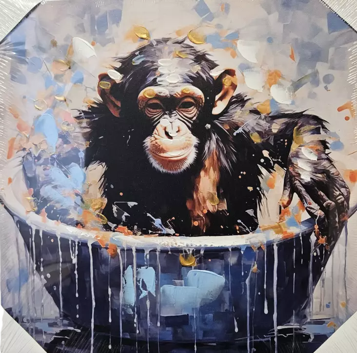 CANVASTAULU 40X40CM APINA - Taulut - 6438159773690 - 1