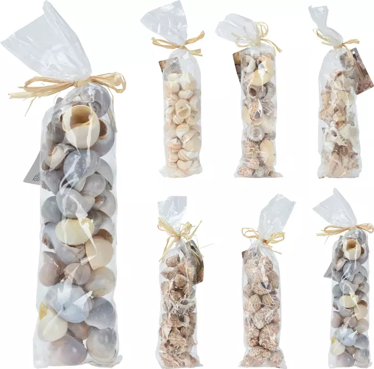 Koristesimpukat pussissa - Tekokukat ja -kasvit - 8718158390660 - 1