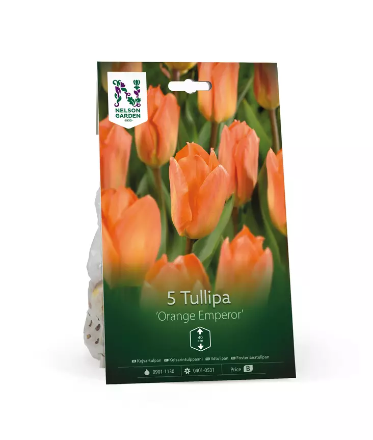 Syyssipuli Keisarintulppaani, 'Orange Emperor'7,50 - Siemenet ja sipulit - 7312603021270 - 1