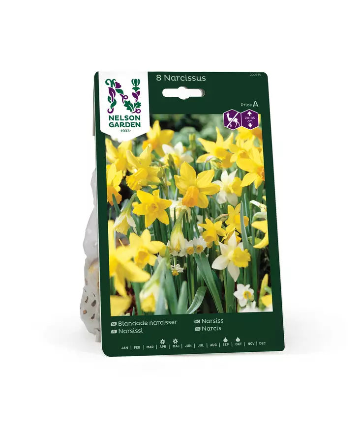 SYYSSIPULI NARSISSI SEKOITUS - Siemenet ja sipulit - 7312602005400 - 1