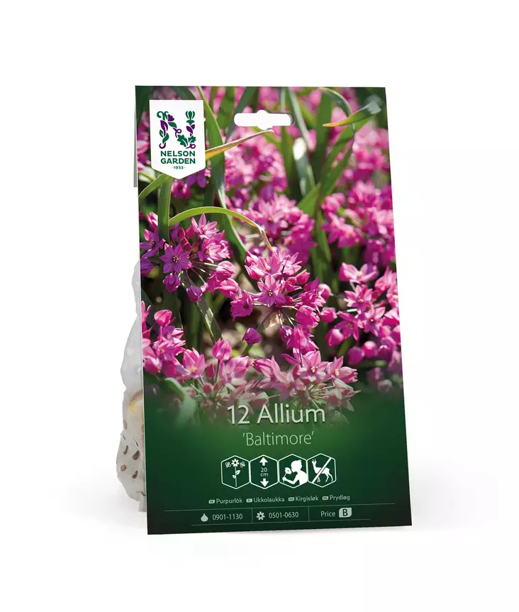 Syyssipuli Ukkolaukka, 'Baltimore' - Siemenet ja sipulit - 7312603021140 - 1