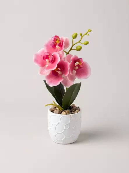 TEKOKUKKA ORKIDEA RUUKUSSA 28cm - Tekokukat ja -kasvit - 6438159393621 - 1