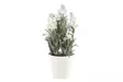 4Living Laventeli valkoinen 26 cm - Tekokukat ja -kasvit - 6410413288171 - 1