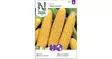 Maissi, Sokeri-, Tasty Sweet F2 - Vihannesten ja hedelmien siemenet - 7312600856141 - 1