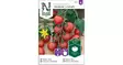 Tomaatti, Gardener´s Delight - Vihannesten ja hedelmien siemenet - 7312600863071 - 1