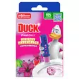 Duck Fresh Discs 36ml Hibiscus Ltd.Ed. - WC:n puhdistus ja putkenavaajat - 5000204424171 - 1