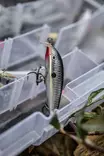 Rapala Team Esko 7CM Valitse väri - Vaaput - 0000000007181 - 2
