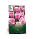 Syyssipuli Triumftulppaani, 'Synaeda Amor'7,50 - Siemenet ja sipulit - 7312603021171 - 1