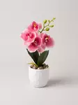 TEKOKUKKA ORKIDEA RUUKUSSA 28cm - Tekokukat ja -kasvit - 6438159393621 - 1