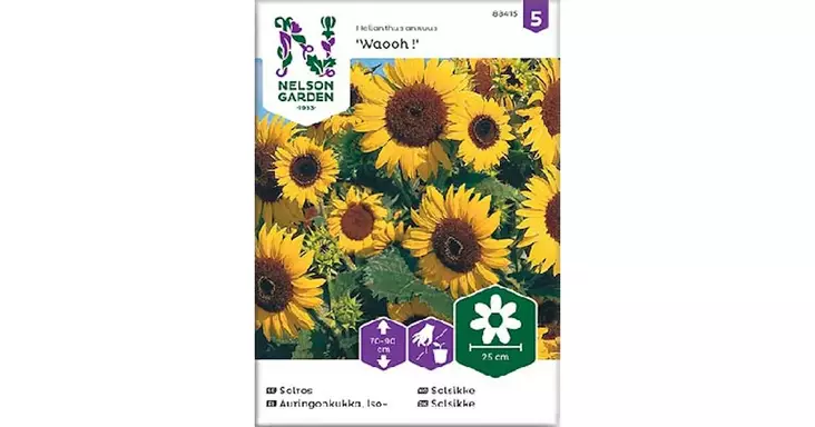 Auringonkukka, Iso-, Waooh - Kukkien siemenet - 7312600884151 - 1