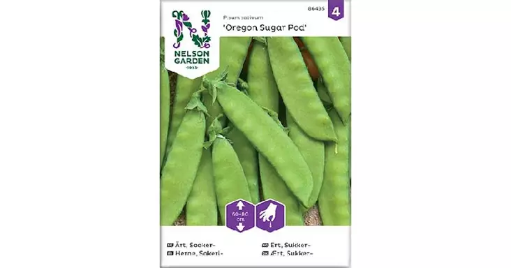 Herne, Sokeri-, Oregon Sugar Pod - Vihannesten ja hedelmien siemenet - 7312600864351 - 1