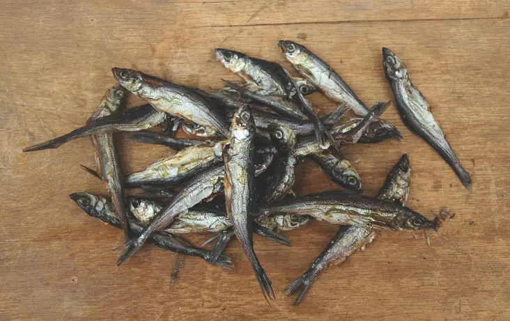 KUIVATTU MUIKKU N. 500 g - Koiran makupalat - 0000000005021 - 1