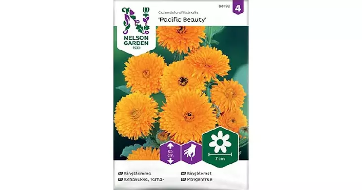 Kehäkukka, Tarha-, Pacific Beauty - Kukkien siemenet - 7312600881921 - 1