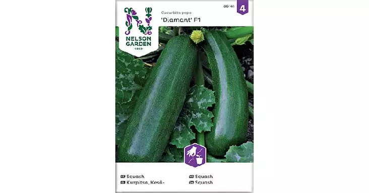 Kurpitsa, Kesä-, Zucchini/Diamant F1 - Vihannesten ja hedelmien siemenet - 7312600861411 - 1