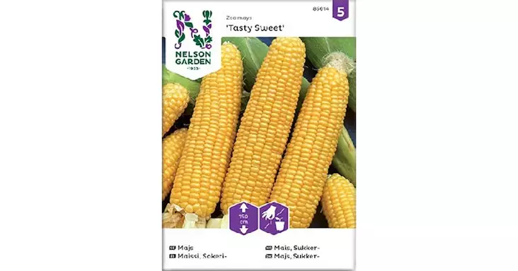 Maissi, Sokeri-, Tasty Sweet F2 - Vihannesten ja hedelmien siemenet - 7312600856141 - 1
