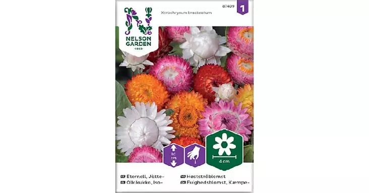 Olkikukka, Iso-, Väriseos - Kukkien siemenet - 7312600874091 - 1