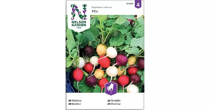 Retiisi,seos, Purp. Pink, Albena, Zlata - Vihannesten ja hedelmien siemenet - 7312600858961 - 1