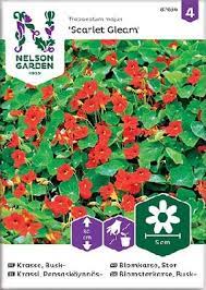 SIEMENPUSSI KRASSI PENSASKÖYNNÖS - Kukkien siemenet - 7312600876361 - 1