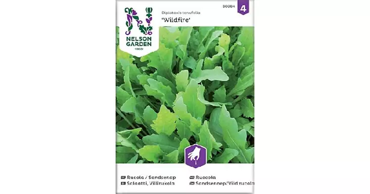 Salaatti, Villirukola Wildfire - Vihannesten ja hedelmien siemenet - 7312600860841 - 1