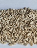 Tintti Auringonkukansiemen kuorittu 18kg - Linnunsiemenet - 6410416223001 - 1