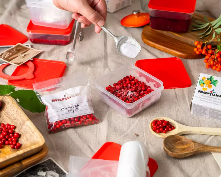 Pakastepussi avaa-sulje 250 ml50 kpl - Pakastuspussit ja kertakäyttörasiat - 6410416276861 - 1