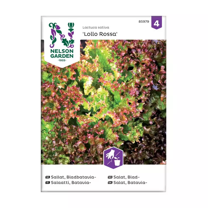 Salaatti, Batavia-, Lollo Rossa - Vihannesten ja hedelmien siemenet - 7312600859791 - 1