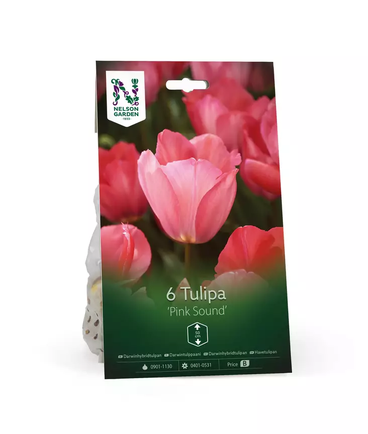 Syyssipuli Darwintulppaani, 'Pink Sound'7,50 - Siemenet ja sipulit - 7312603021201 - 1