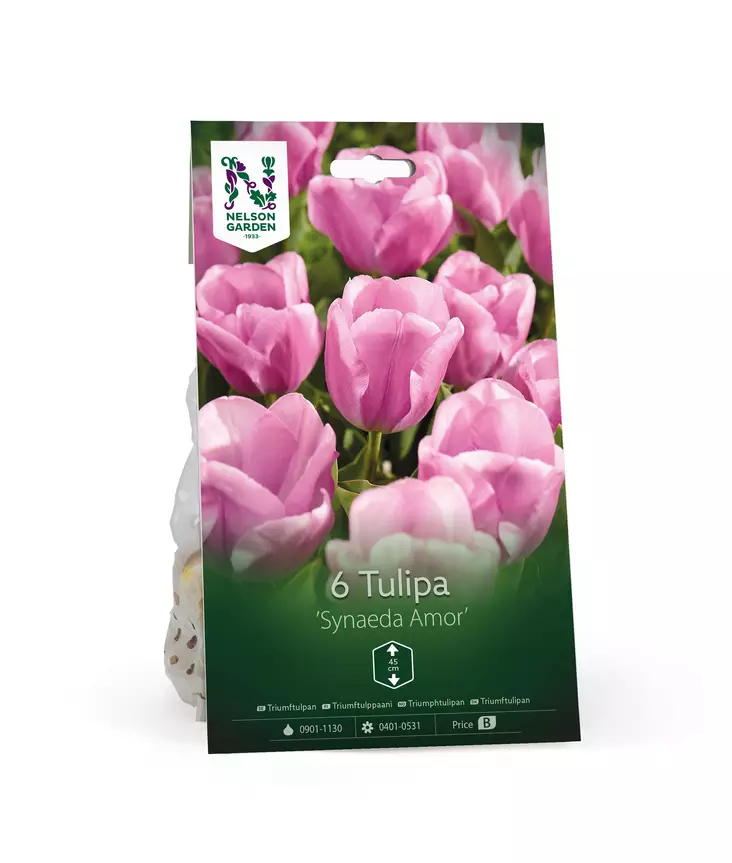 Syyssipuli Triumftulppaani, 'Synaeda Amor'7,50 - Siemenet ja sipulit - 7312603021171 - 1