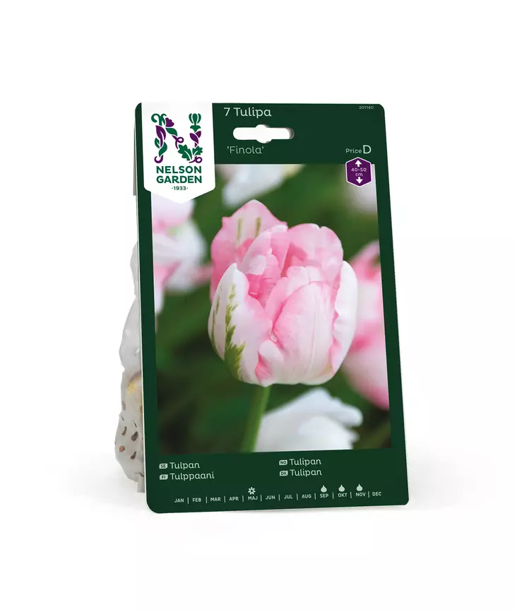 SYYSSIPULI TULPPAANI FINOLA - Siemenet ja sipulit - 7312602011401 - 1