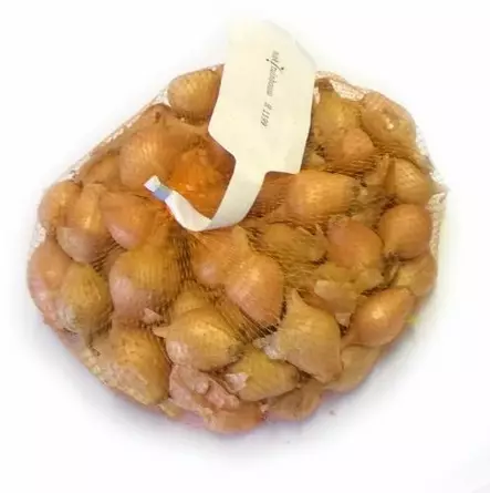 Stur BC istukassipuli - Vihannesten ja hedelmien siemenet - 8713793001872 - 1