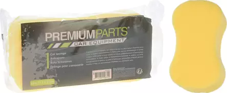 Auton pesusieni 21X11.5X5cm - Autonpesu - 8711295158742 - 1