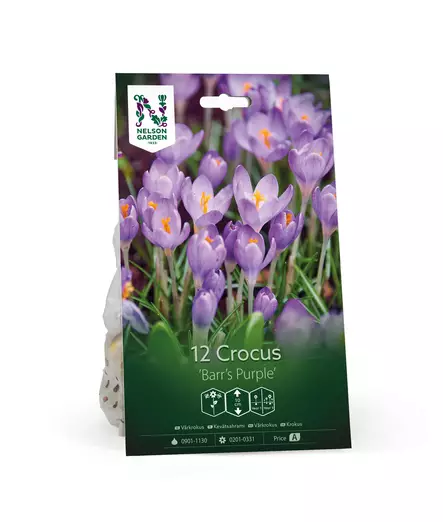 Kevätsahrami, 'Barr's Purple' - Siemenet ja sipulit - 7312603021102 - 1
