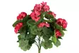 4Living Pelargonia kinppu tumma pinkki - Tekokukat ja -kasvit - 6410416529882 - 2