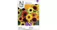 Auringonkukka, seos - Kukkien siemenet - 7312600883352 - 1