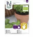Basilika, Mauste-, Loki, Organic - Vihannesten ja hedelmien siemenet - 7312600850422 - 1