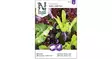 Salaatti, Baby Leaf, Seos, kylvönauha - Vihannesten ja hedelmien siemenet - 7312600859722 - 1