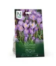 Kevätsahrami, 'Barr's Purple' - Siemenet ja sipulit - 7312603021102 - 1