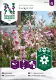 Leijonankita, Lucky Lips - Kukkien siemenet - 7312600877122 - 1