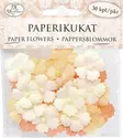 Paperikukat Helmi pieni natur 30kpl - Tee-se-itse DIY - 6417715049202 - 1
